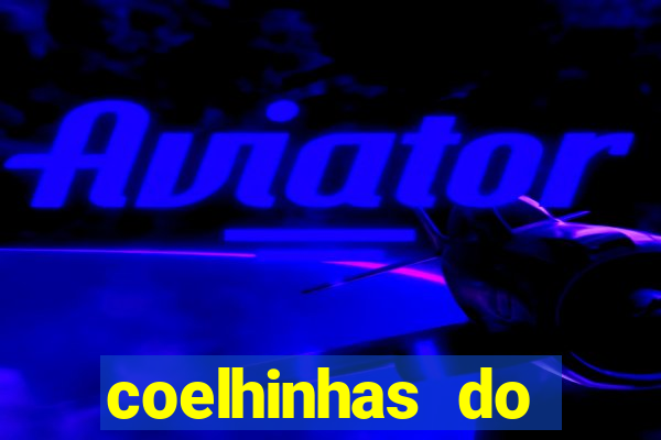 coelhinhas do brasil acompanhantes